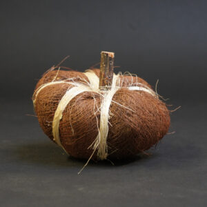 Natural pumpkin toy
