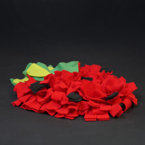 Sniff & Find strawberry