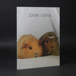 Boek Jouw Cavia