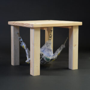 Relax plateau met hangmat - S