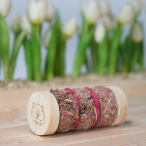 Strawberry daiquiri – toy